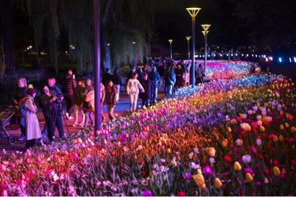 เทศกาลดอกไม้ Floriade ออสเตรเลีย - Image 2