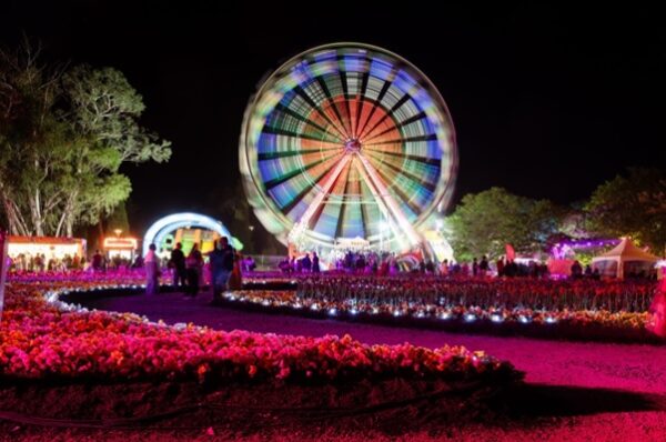 เทศกาลดอกไม้ Floriade ออสเตรเลีย - Image 4