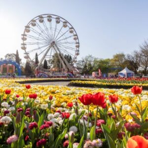เทศกาลดอกไม้ Floriade ออสเตรเลีย