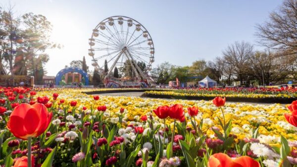 เทศกาลดอกไม้ Floriade ออสเตรเลีย